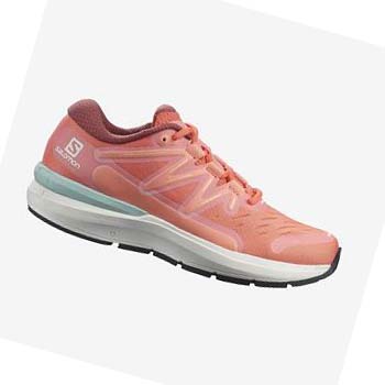 Tenis Para Correr Salomon SONIC 4 Confidence Mujer Rosas | MX 2725LIS